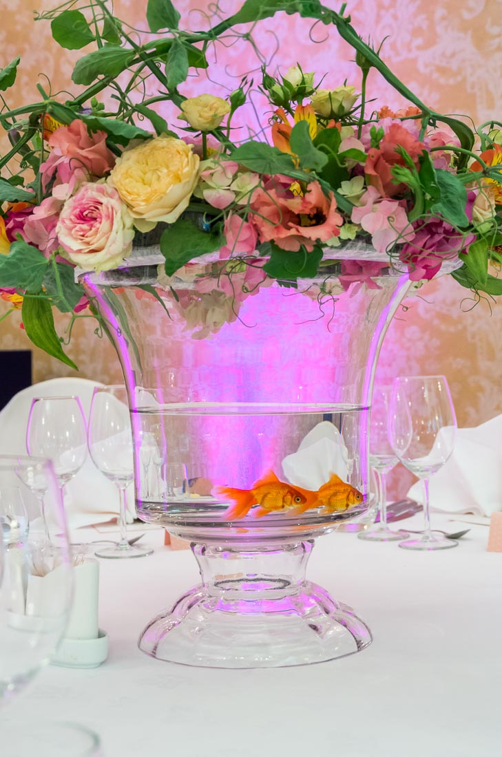 goldfish-themed-wedding-16